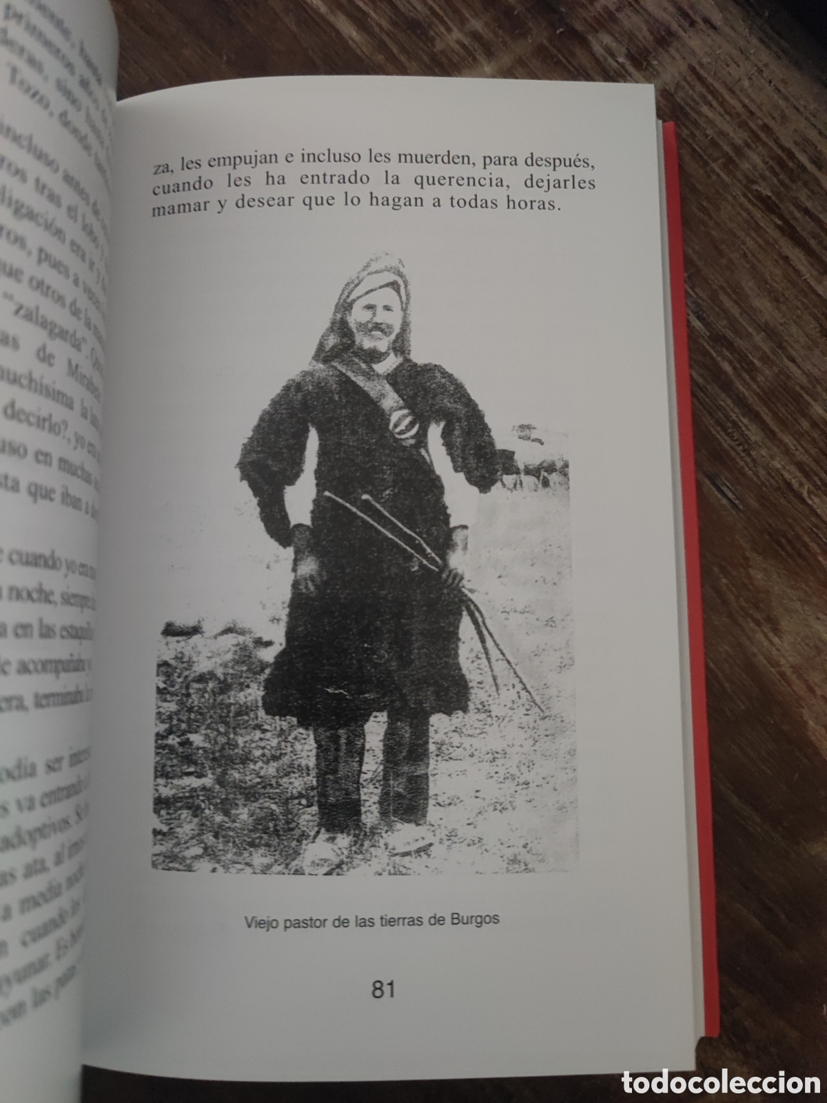 Libros: TRASHUMANCIA - Aniceto Mart&iacute;n Arribas - Foto 5