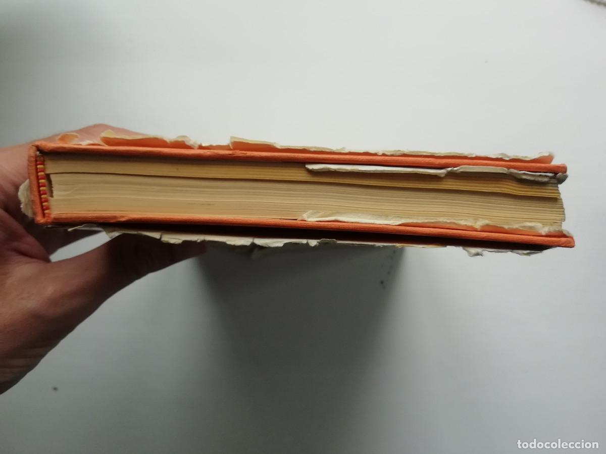 Libros: La historieta c&oacute;mica de postguerra - Juan Antonio Ram&iacute;rez - Foto 18