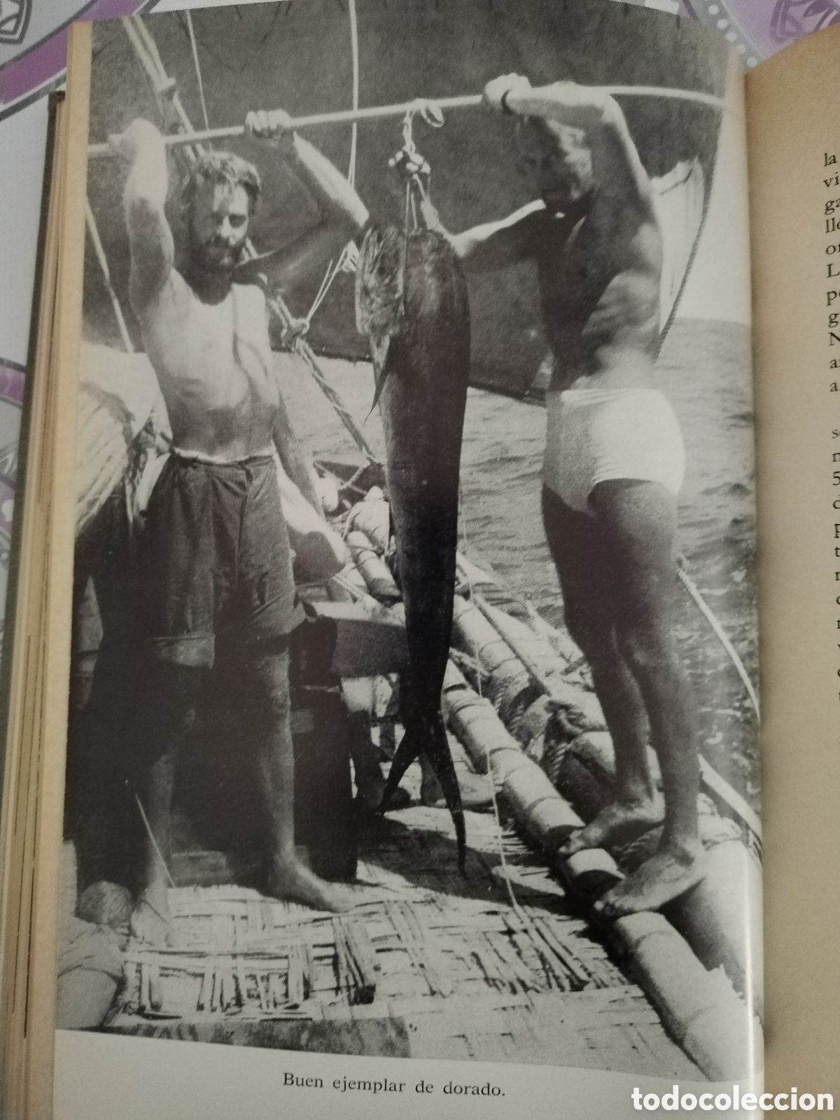 Libros: La expedici&oacute;n de la Kon-Tiki Thor Heyerdahl - Foto 9
