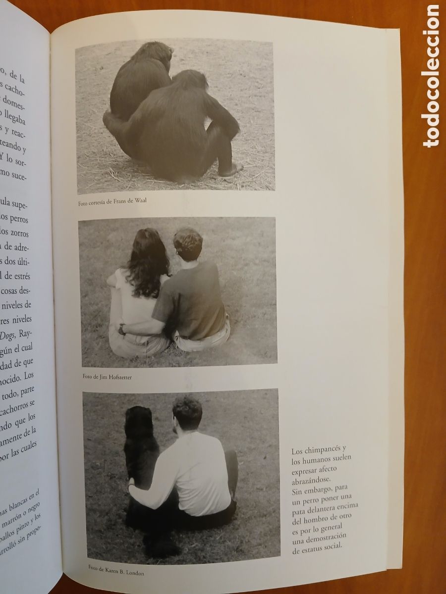 Libros: Al otro extremo de la correa. Patricia B. McConnell. - Foto 13