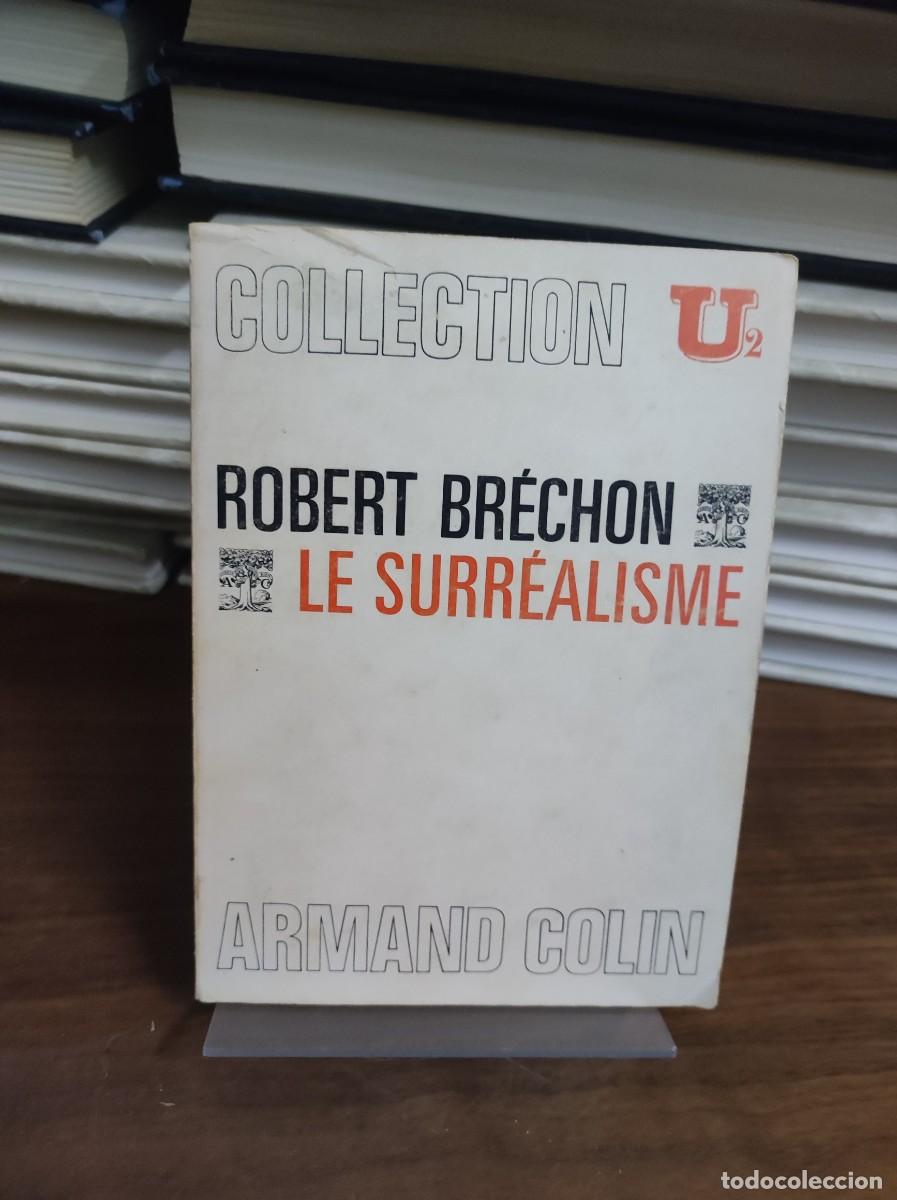 Libros: LE SURREALISME ROBERT BRECHON - Foto 1