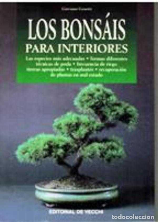 Libros: LOS BONSAI PARA INTERIORES - GIOVANNI GENOTTI - Foto 1