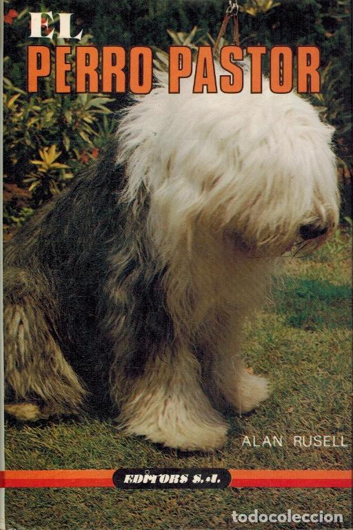 Libros: EL PERRO PASTOR - ALAN RUSELL - Foto 1