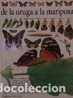 Libros: DE LA ORUGA A LA MARIPOSA - PAUL WHALLEY - Foto 1