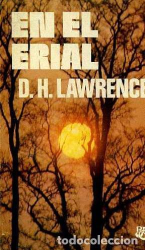 Libros: EN EL ERIAL - D H LAWRENCE - Foto 1