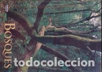 Libros: BOSQUES - JUANJO ALONSO - Foto 1