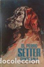 Libros: EL PERRO SETTER FANTASMA - ROBERT MURPHY - Foto 1