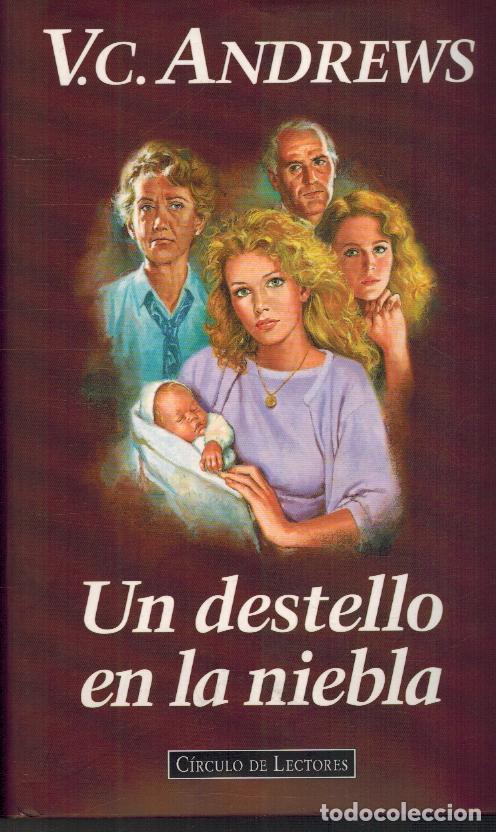 Libros: UN DESTELLO EN LA NIEBLA - V. C. ANDREWS - Foto 1