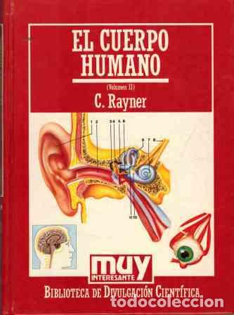 Libros: EL CUERPO HUMANO. TOMO II - C RAYNER - Foto 1