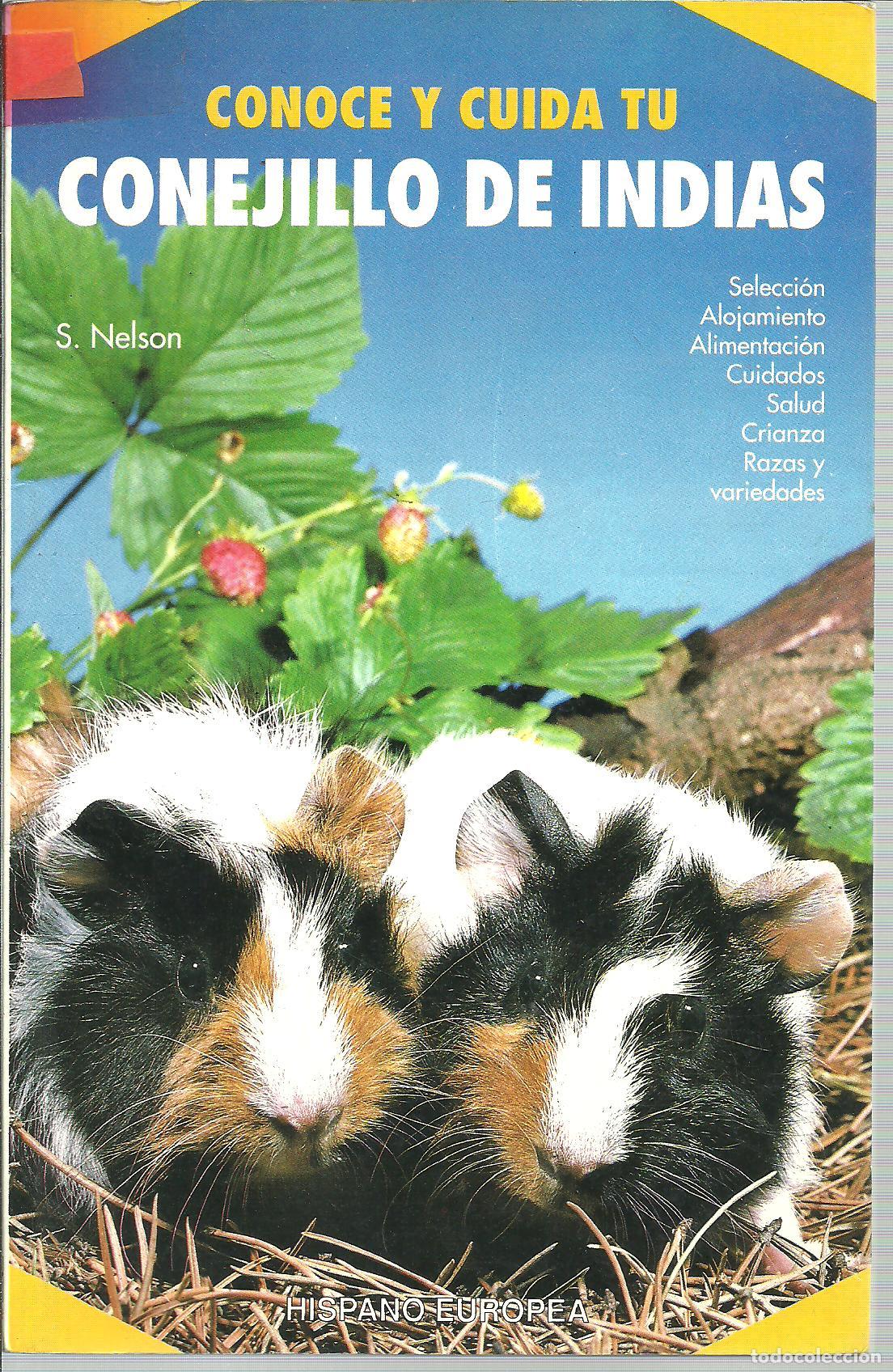 Libros: CONOCE Y CUIDA TU CONEJILLO DE INDIAS - S NELSON - Foto 1