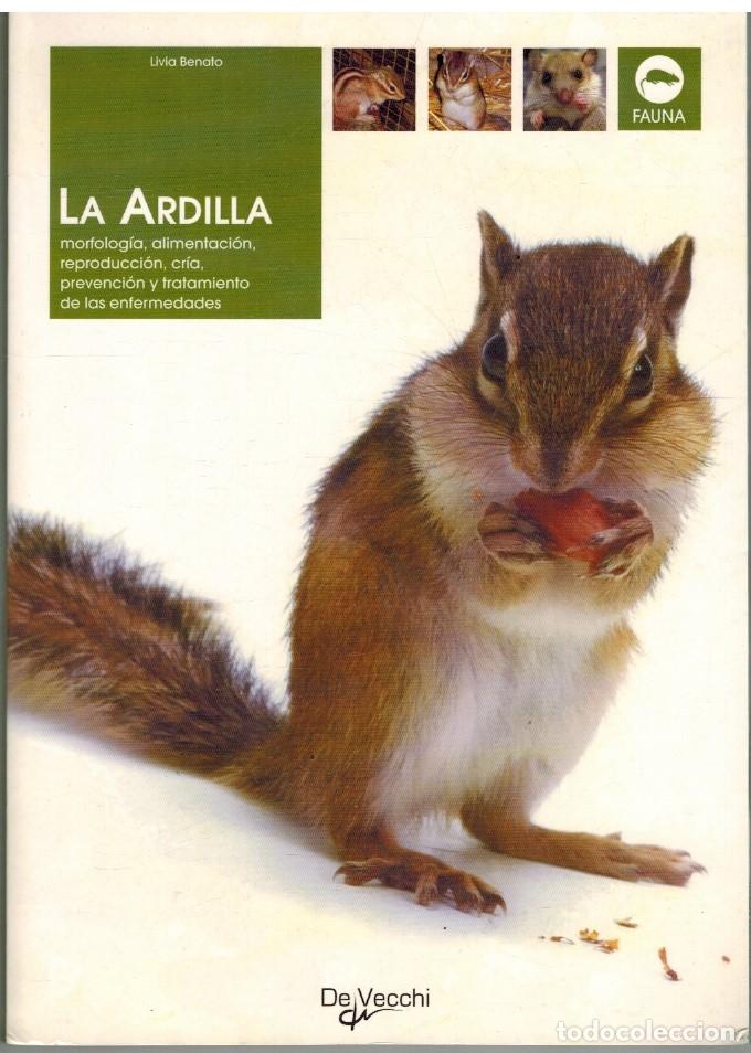 Libros: LA ARDILLA - LIVIA BENATO - Foto 1