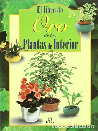 Libros: LIBRO DE ORO DE LAS PLANTAS DE INTERIOR - VARIOS AUTORES - Foto 1