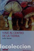 Libros: VIAJE AL CENTRO DE LA TIERRA - JULIO VERNE - Foto 1
