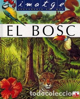 Libros: IMATGE DESCOBERTA DEL MON. EL BOSC - EMILIE BEAUMONT / HENRY EYNARD - Foto 1