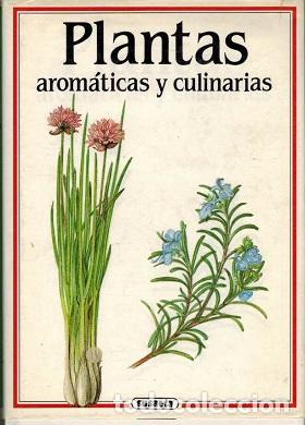 Libros: PLANTAS AROMATICAS Y CULINARIAS - JAN KYBAL - Foto 1