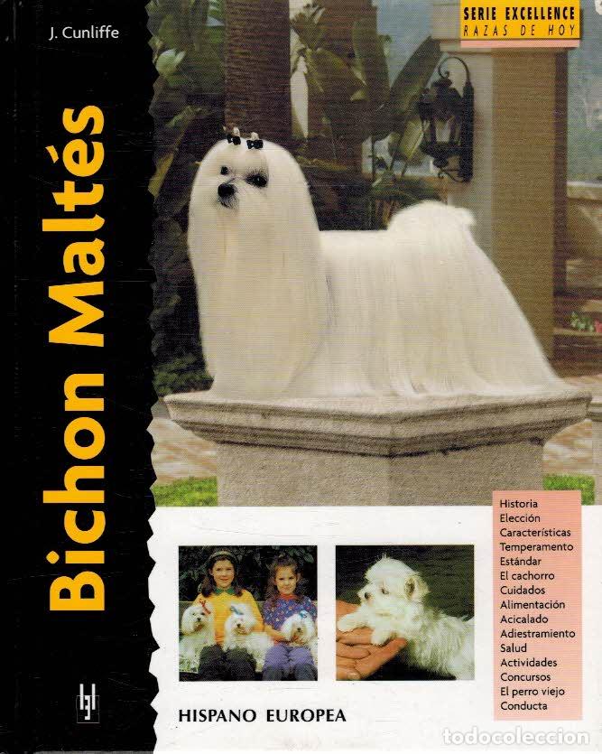 Libros: BICHON MALTES - JULIETTE CUNLIFFE - Foto 1