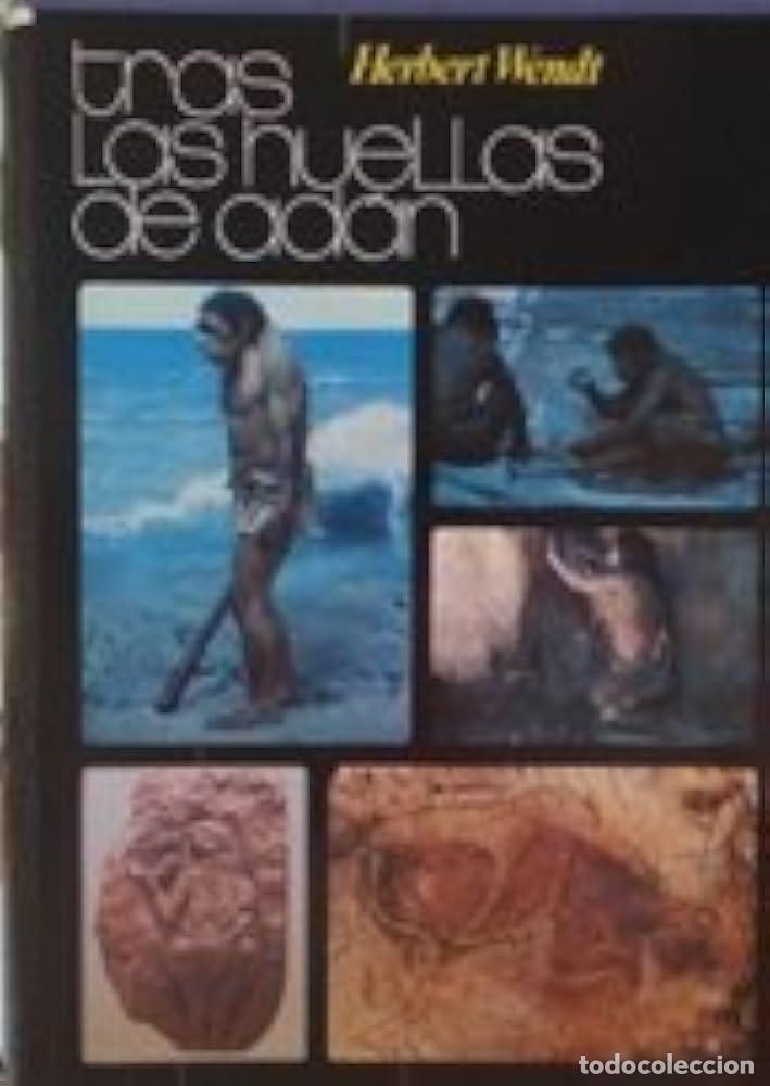 Libros: TRAS LAS HUELLAS DE ADAN - HERBERT WENDT - Foto 1