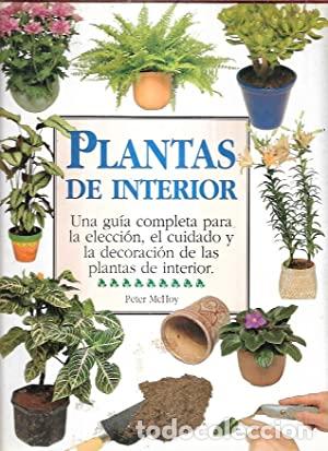 Libros: PLANTAS DE INTERIOR - PETER MCHOY - Foto 1