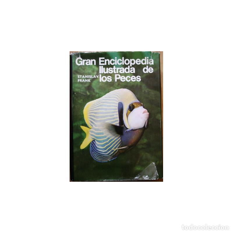 Libros: GRAN ENCICLOPEDIA ILUSTRADA DE LOS PECES - STANISLAV FRANK - Foto 1
