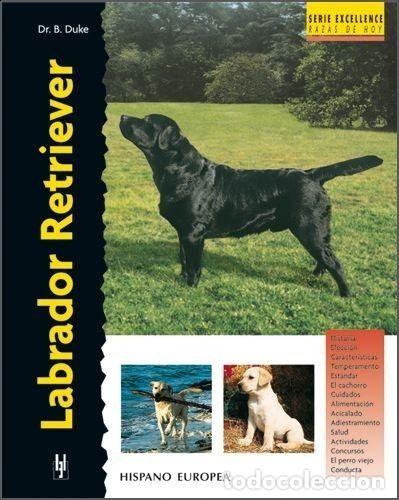 Libros: LABRADOR RETRIEVER - BERNARD DUKE - Foto 1