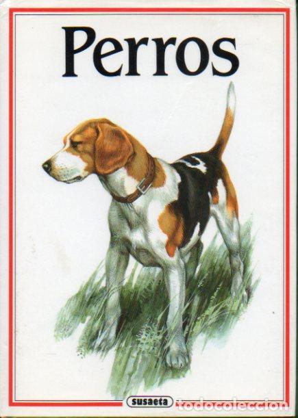 Libros: PERROS - LUDEK J. DOBRORUKA - Foto 1