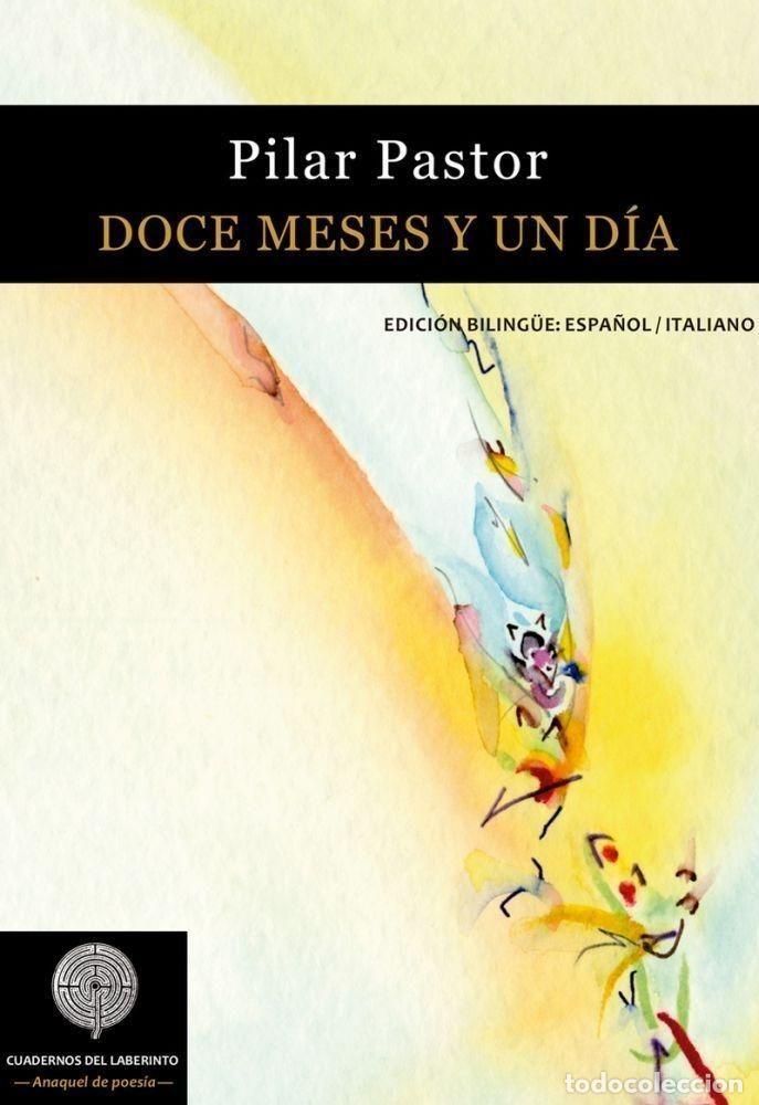 Libros: DOCE MESES Y UN D&Iacute;A - PILAR PASTOR - Foto 1