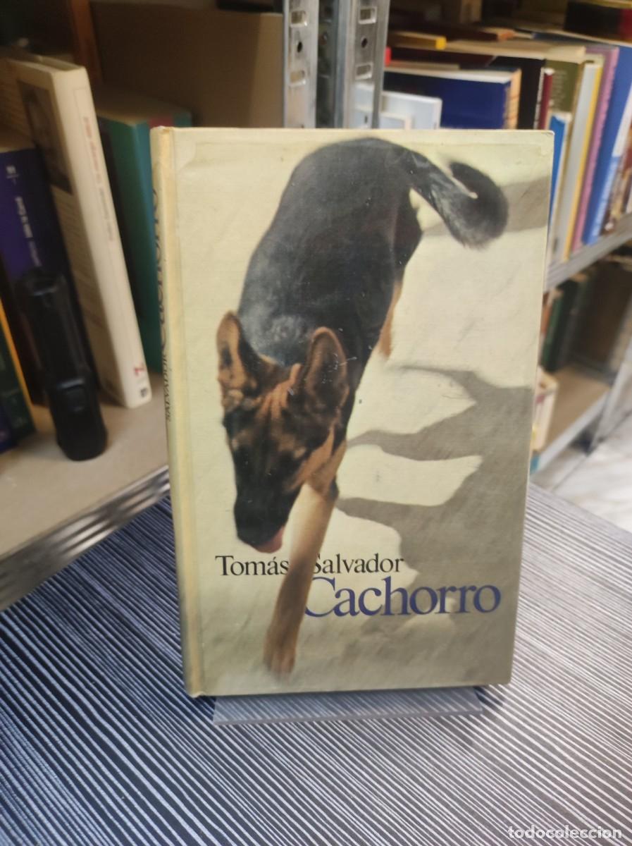 Libros: CACHORRO TOMAS SALVADOR - Foto 1