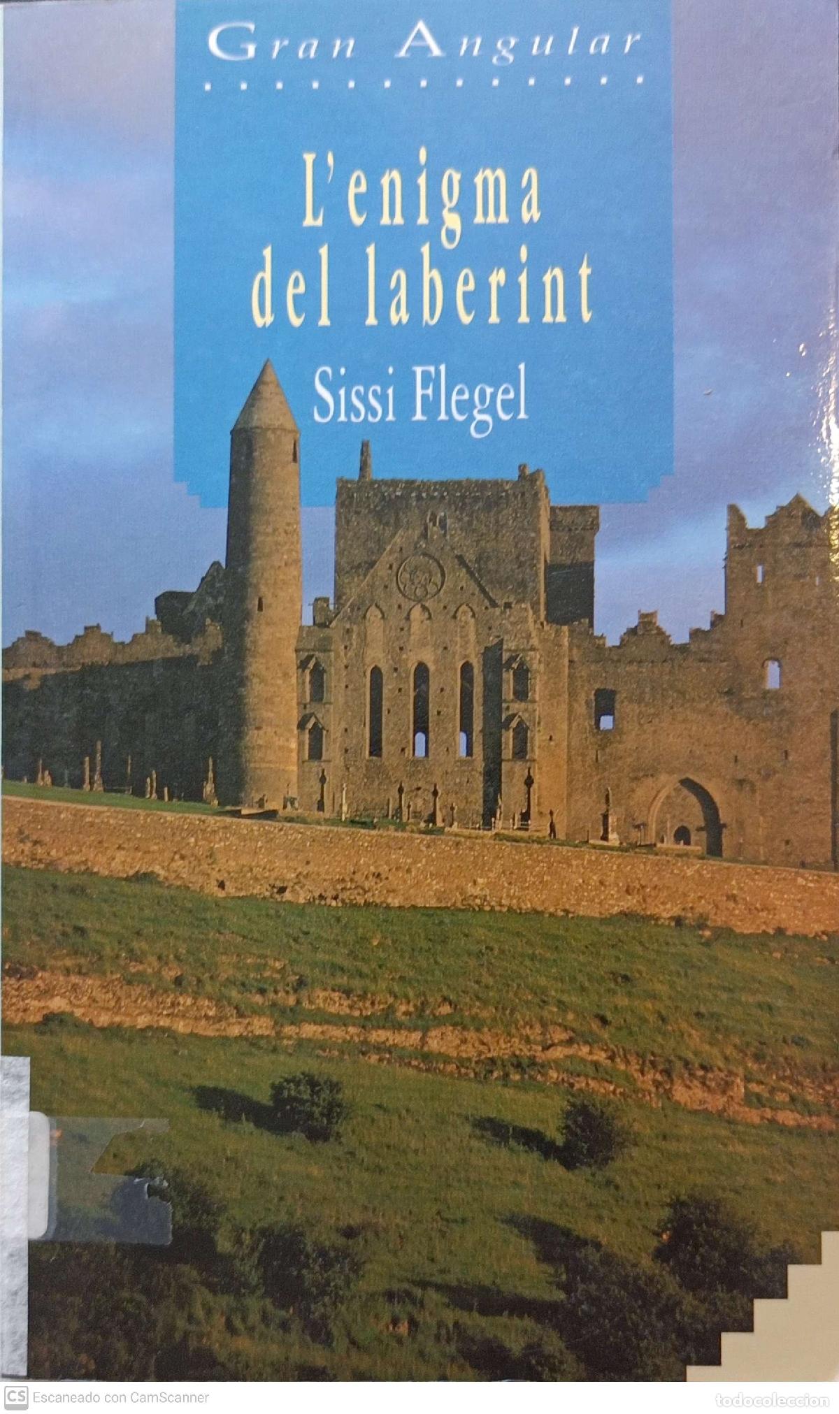 Libros: Lenigma del laberint - Sissi Flegel - Foto 1