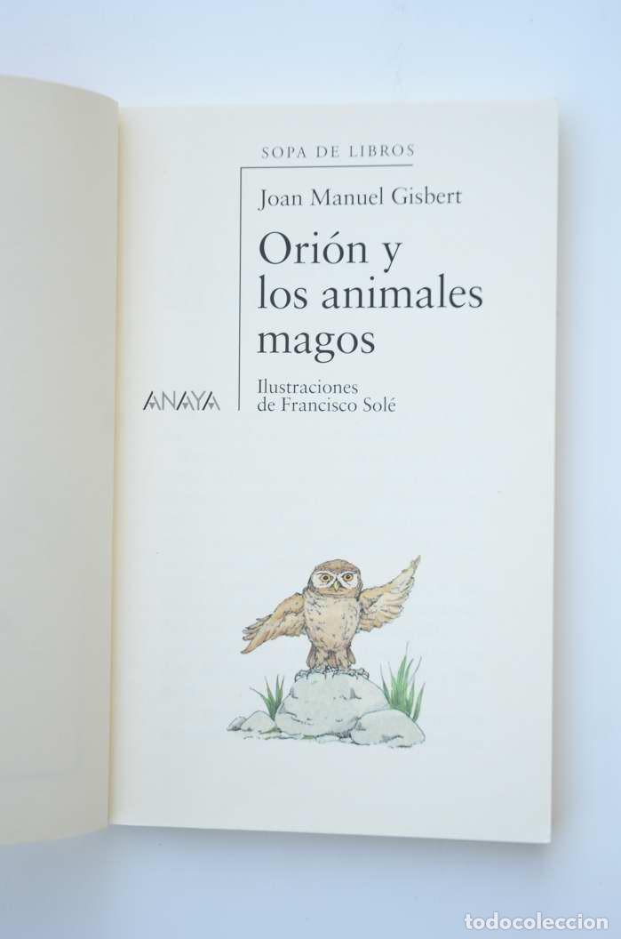 Libros: Ori&oacute;n y los animales magos - GISBERT, Joan Manuel - Foto 2