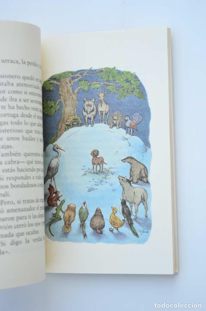 Libros: Ori&oacute;n y los animales magos - GISBERT, Joan Manuel - Foto 3