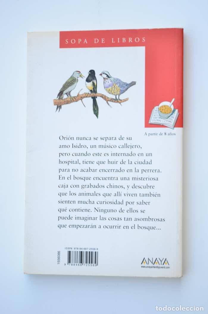 Libros: Ori&oacute;n y los animales magos - GISBERT, Joan Manuel - Foto 5