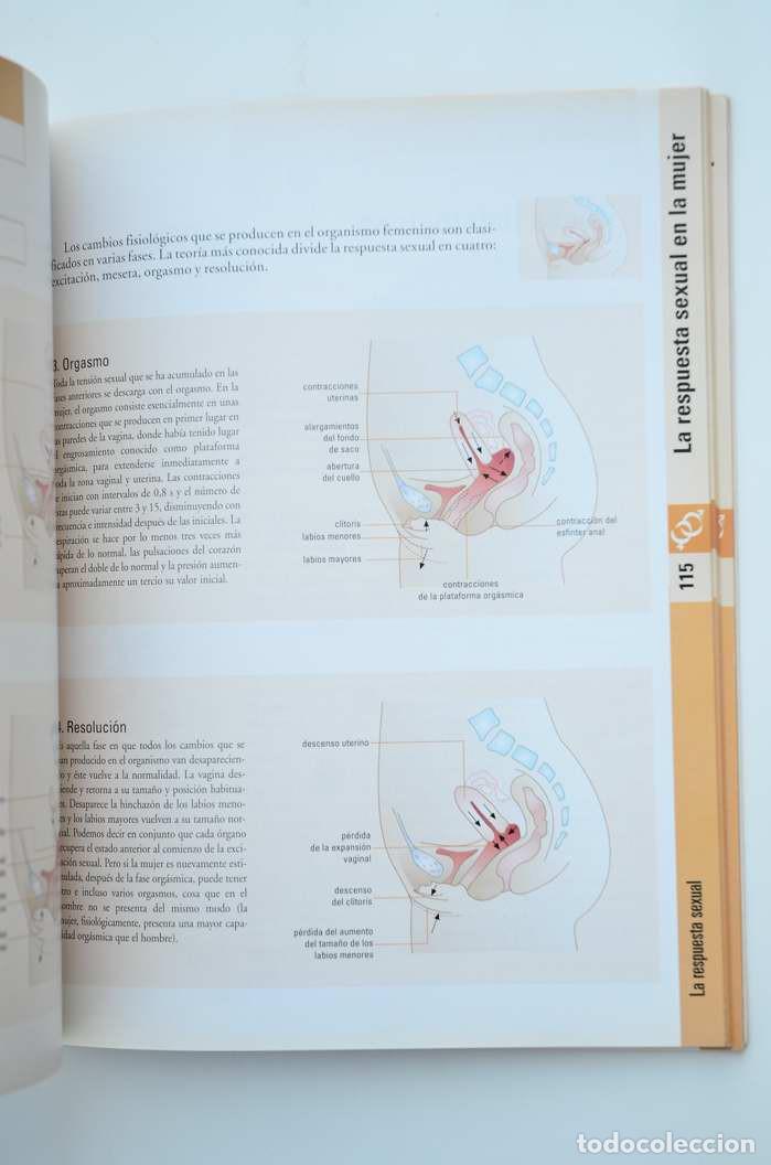 Libros: La vida sexual - AUTORES VARIOS - Foto 4