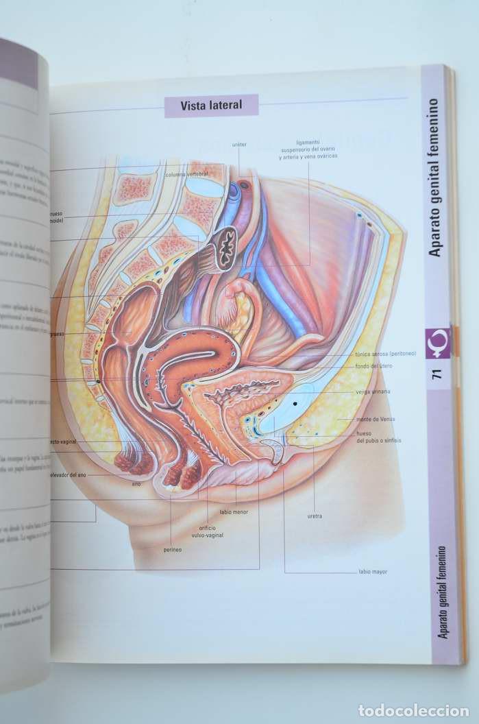 Libros: La vida sexual - AUTORES VARIOS - Foto 5