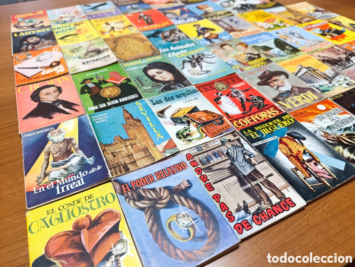 Libros: Lote de 94 libros de Ediciones Pulga - Foto 3