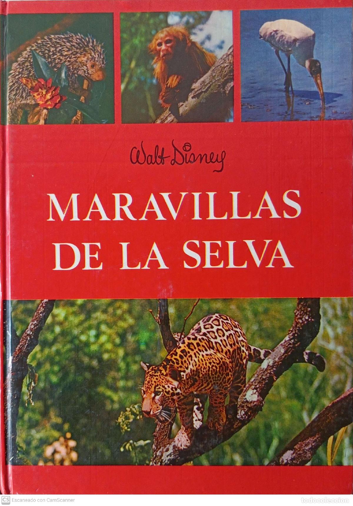 Libros: Maravillas de la selva - Walt Disney - Foto 1