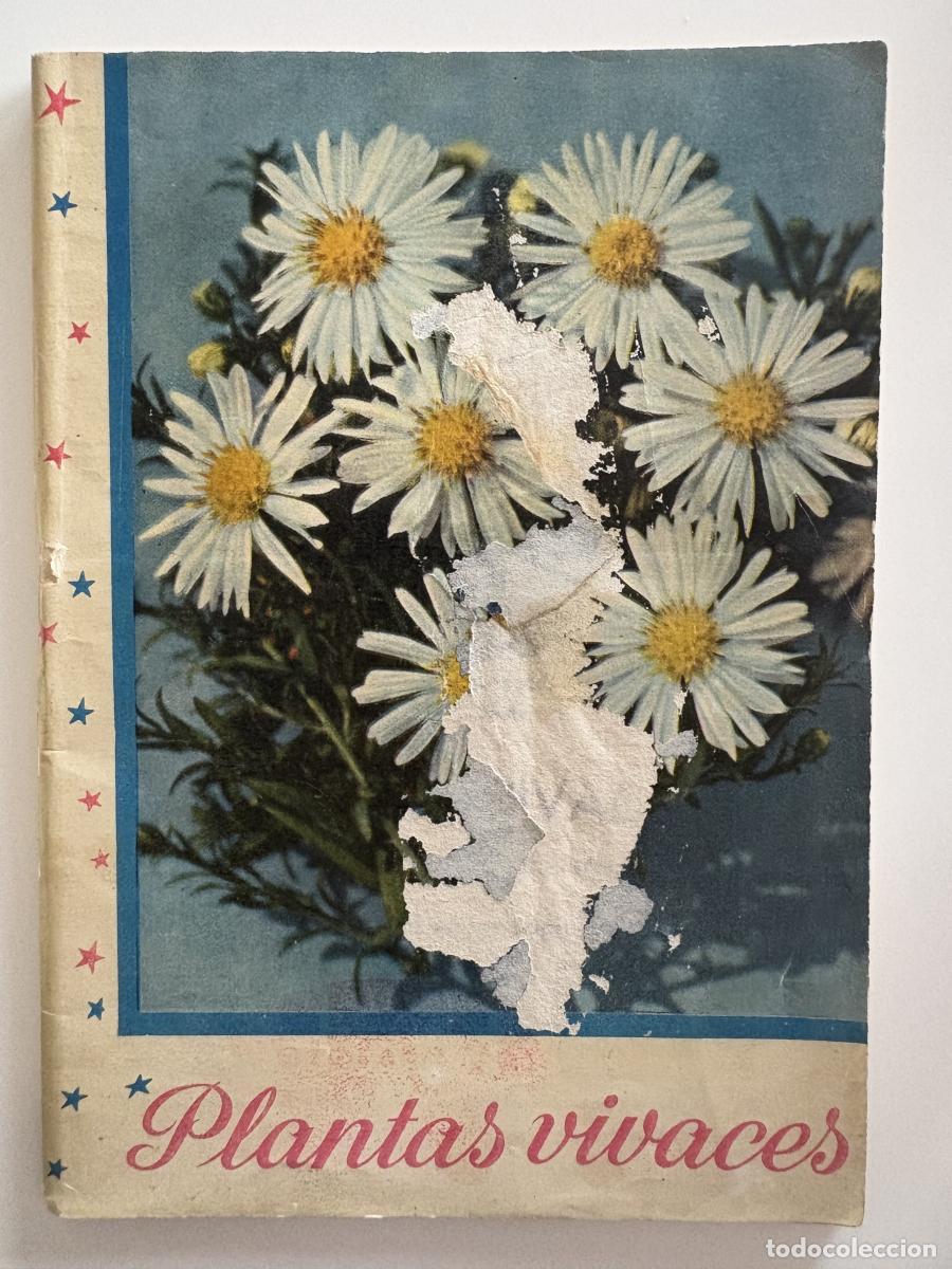 Libri di seconda mano: Plantas Vivaces. Folleto N&ordm; 49. - tdk963
