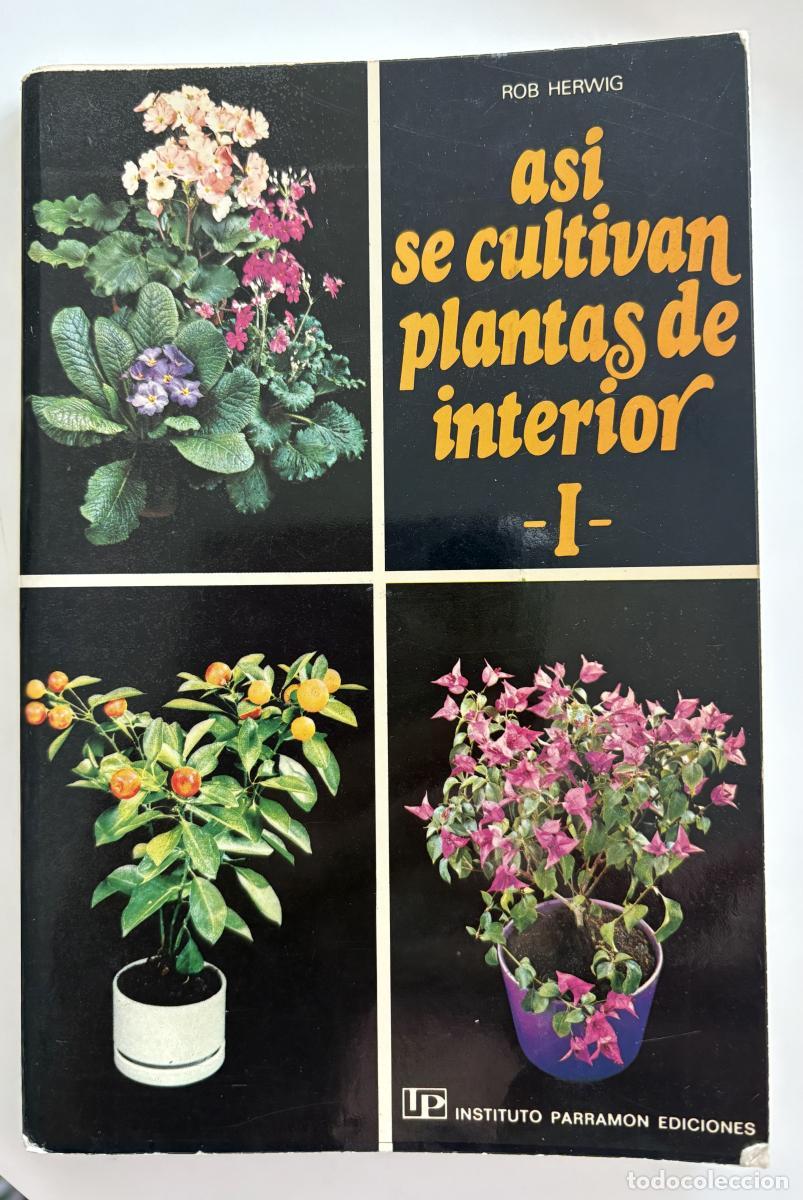 Libri di seconda mano: As&iacute; se cultivan plantas de interior. T.1 - Herwig, Rob tdk963