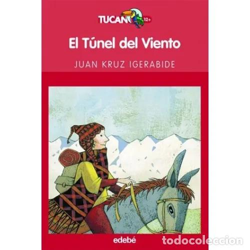 Libros: EL T&Uacute;NEL DEL VIENTO - IGERABIDE, JUAN KRUZ - Foto 1