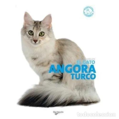Libros: GATO ANGORA TURCO - CAPPELLETTI, MARIOLINA - Foto 1