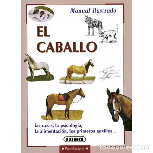 Libros: EL CABALLO - ZORZAN, CINZIA - Foto 1