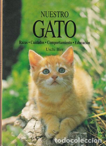 Libros: Nuestro gato - Uschi Birr - Foto 1