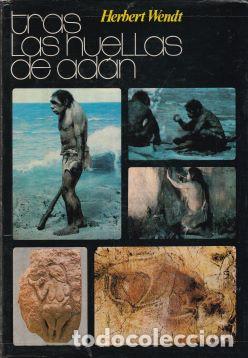 Libros: Tras las huellas de Ad&aacute;n - Herbert Wendt - Foto 1