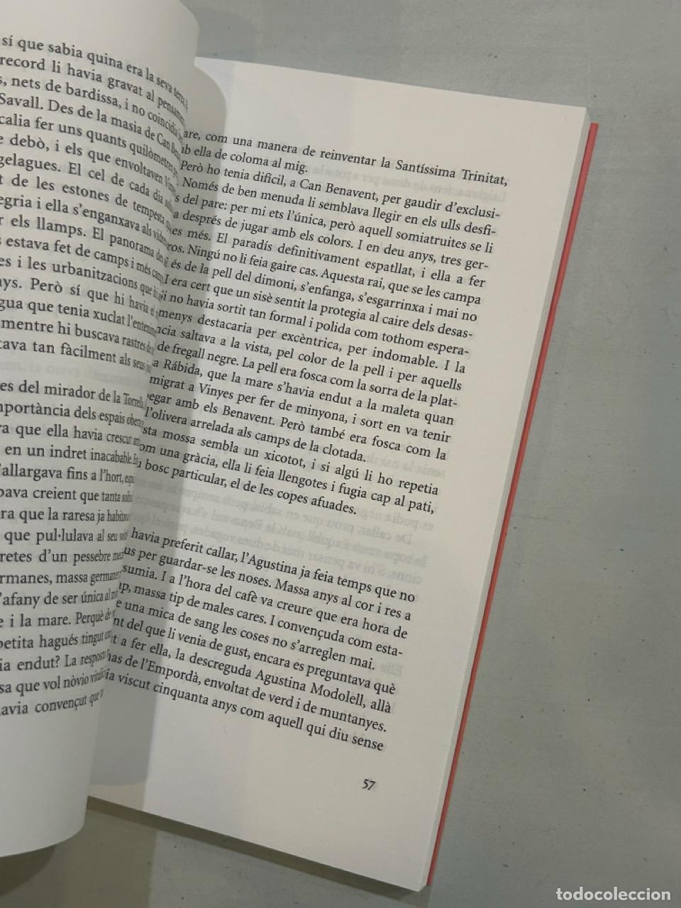 Libros: Isidre Grau - El balanc&iacute; negre - Foto 2