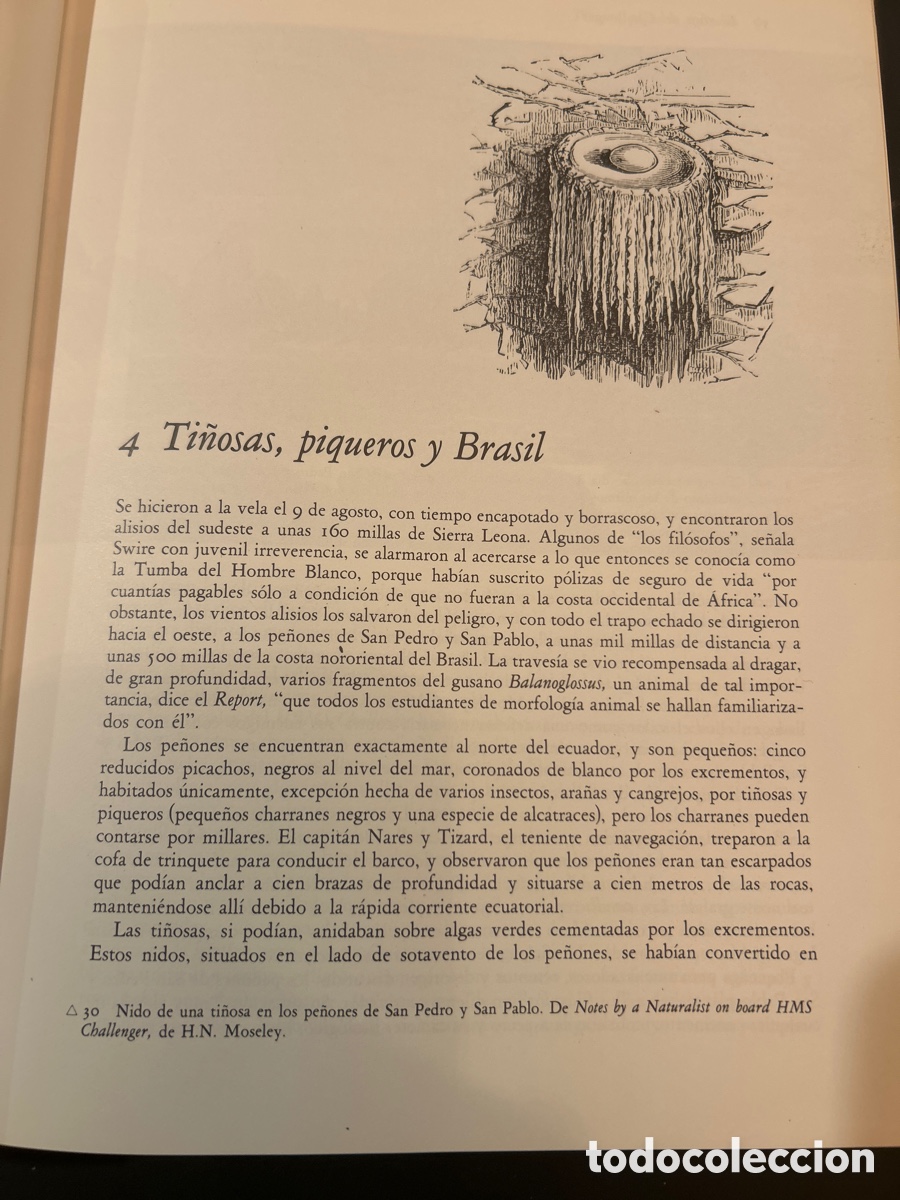Libros: El viaje del Challenger (1872-1876) Eric Linklater. C3 - Foto 4