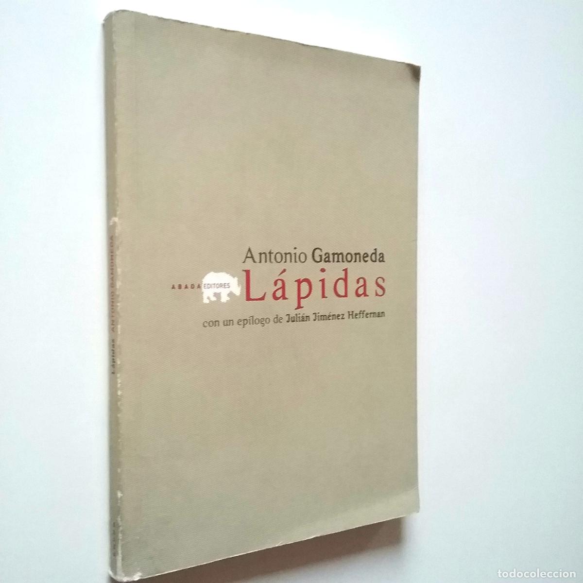 Libros: Antonio Gamoneda - L&aacute;pidas - Foto 1