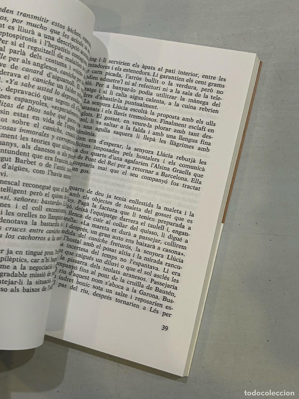 Libros: Teresa P&agrave;mies - Matins de lAran - Foto 2