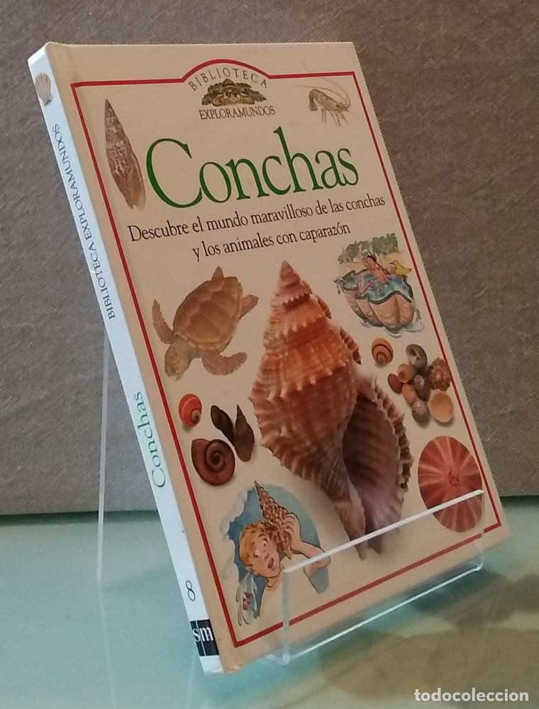 Libros: Conchas (como NUEVO) - Jennifer Coldrey - Foto 1