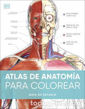 Libros: ATLAS DE ANATOMIA PARA COLOREAR - DK - Foto 1