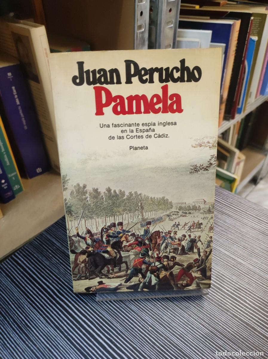 Libros: PAMELA - JUAN PERUCHO - Foto 1