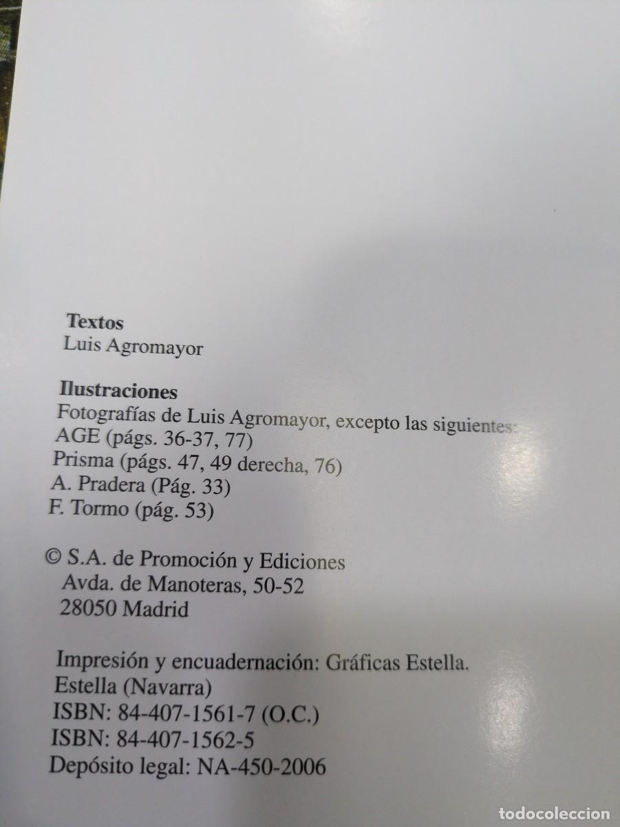 Libros: Espa&ntilde;a paso a paso. Fiestas populares1 - Foto 2